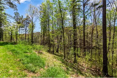 0 Overlook Drive, Ellijay, GA 30536 - Photo 10