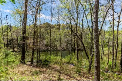 0 Overlook Drive, Ellijay, GA 30536 - Photo 18