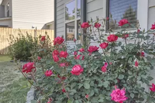 5937 Park Bay Ct, Flowery Branch, GA 30542 - Photo 10