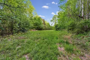 2239 Cross Roads Church Rd, Buchanan, GA 30113 - Photo 14