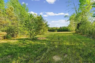 2239 Cross Roads Church Rd, Buchanan, GA 30113 - Photo 12