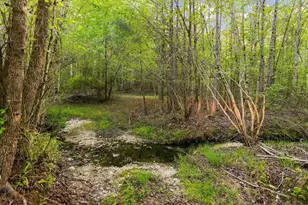 2239 Cross Roads Church Rd, Buchanan, GA 30113 - Photo 10