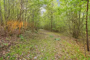 2239 Cross Roads Church Rd, Buchanan, GA 30113 - Photo 20