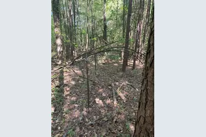 0 Burfordi Drive, Marietta, GA 30008 - Photo 24