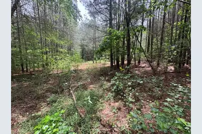 0 Burfordi Drive, Marietta, GA 30008 - Photo 18