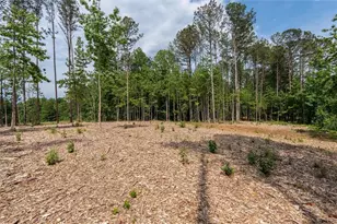 Trct 3 Pope Rd, Buchanan, GA 30113 - Photo 16