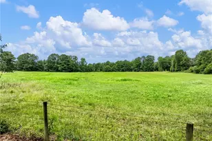 1334 Criswell Rd SE, Monroe, GA 30655 - Photo 28