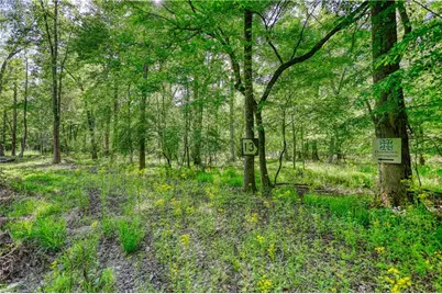 393 Edwards Road, Oxford, GA 30054 - Photo 74