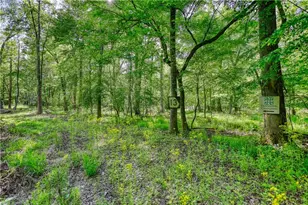 393 Edwards Rd, Oxford, GA 30054 - Photo 74
