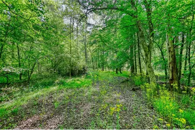 393 Edwards Road, Oxford, GA 30054 - Photo 68