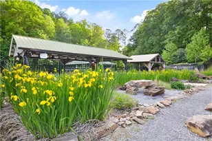 123 Pamela Ct, Ellijay, GA 30540 - Photo 96
