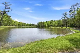 8340 Nolandwood Ln, Villa Rica, GA 30180 - Photo 44