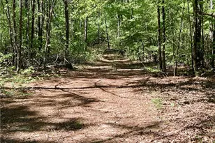 486 Sweetwater Bend, Villa Rica, GA 30180 - Photo 26