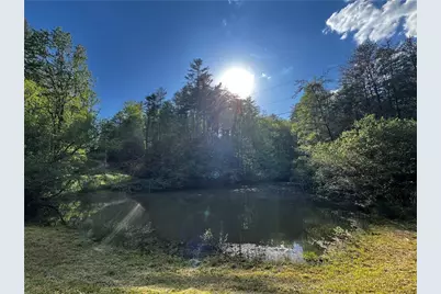 221 Muscadine Road, Dahlonega, GA 30533 - Photo 60