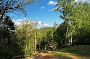 221 Muscadine Rd, Dahlonega, GA 30533 - Photo 60