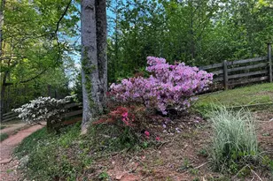221 Muscadine Rd, Dahlonega, GA 30533 - Photo 68