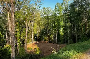 221 Muscadine Rd, Dahlonega, GA 30533 - Photo 50