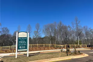 6135 Peaceful Grove (Lot 48) Dr, Cumming, GA 30041 - Photo 60