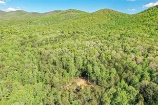 258 Rocky Holw Rd, Ellijay, GA 30536 - Photo 58