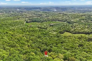 252 Oglethorpe Mountain Trail, Jasper, GA 30143 - Photo 4