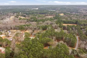 225 Stag Ct, Winder, GA 30680 - Photo 52