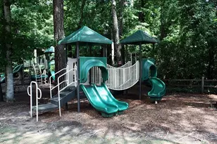 1061 Winding Branch Cir, Dunwoody, GA 30338 - Photo 44