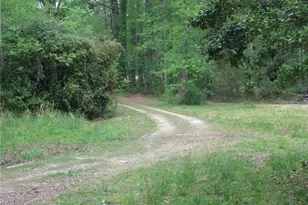 1168 Ben T Huiet Hwy, Sautee Nacoochee, GA 30523 - Photo 2