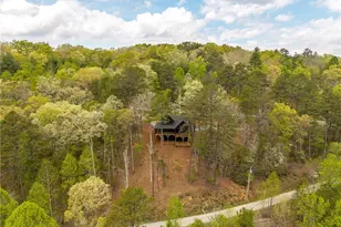 250 Wolf Creek Circle, Mineral Bluff, GA 30559 - Photo 50