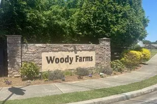 53 Woody Way NW, Adairsville, GA 30103 - Photo 42