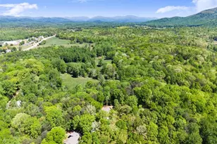 45 Holcomb Dr, Cleveland, GA 30528 - Photo 66