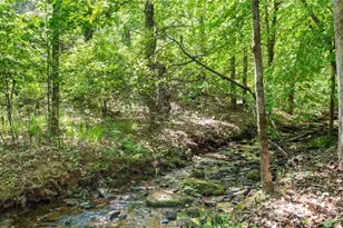 1445 Badingham Dr, Cumming, GA 30041 - Photo 24