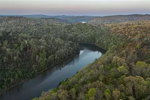 84 Ridge Line Tr, Ellijay, GA 30540 - Photo 50