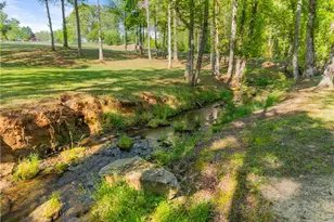 6632 Mountain Meadow Dr, Clermont, GA 30527 - Photo 76