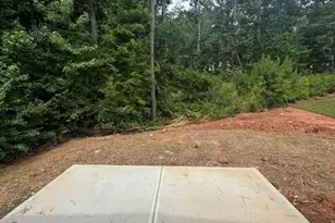 3127 Wild Clary Ct Lot 46, Buford, GA 30519 - Photo 58