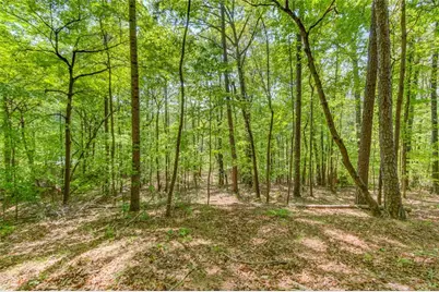 1051 Riverside Road, Sugar Hill, GA 30518 - Photo 76