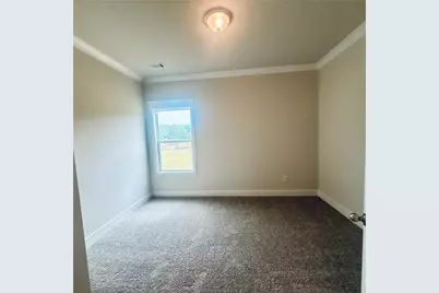356 Scarlett Rose Way, Hoschton, GA 30548 - Photo 14