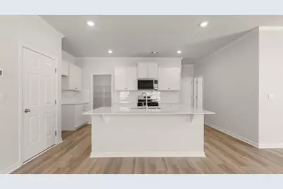 56 Biltmore Place, Braselton, GA 30517 - Photo 6