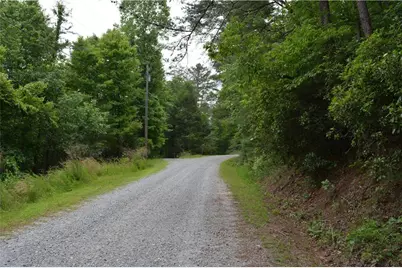 20 Goldmine Drive, Ellijay, GA 30536 - Photo 4