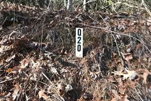20 Goldmine Dr, Ellijay, GA 30536 - Photo 20