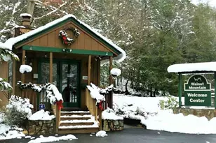 20 Goldmine Dr, Ellijay, GA 30536 - Photo 14