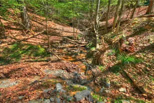 245 Moonstone Dr, Ellijay, GA 30540 - Photo 54