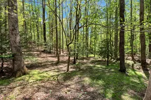 151 Woodbrier, Sautee Nacoochee, GA 30571 - Photo 44