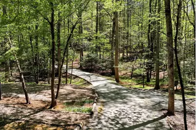 151 Woodbrier, Sautee Nacoochee, GA 30571 - Photo 40