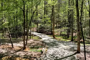 151 Woodbrier, Sautee Nacoochee, GA 30571 - Photo 40