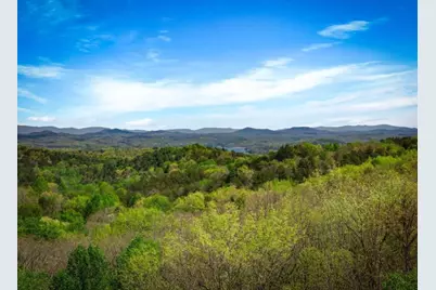 245 Davenport Mountain Road #3, Blue Ridge, GA 30513 - Photo 2
