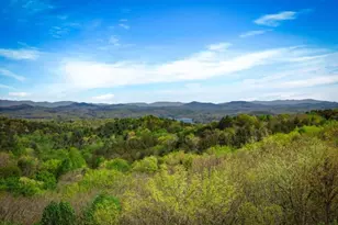 245 Davenport Mountain Road, Blue Ridge, GA 30513 - Photo 2