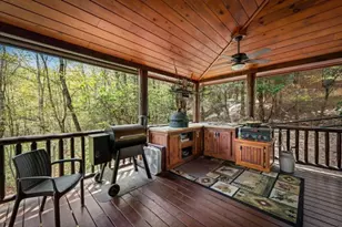 245 Davenport Mountain Road, Blue Ridge, GA 30513 - Photo 68