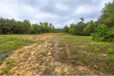 51 Paul Harris Road, Dallas, GA 30157 - Photo 4