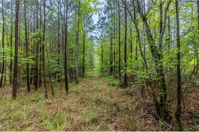 51 Paul Harris Road, Dallas, GA 30157 - Photo 12