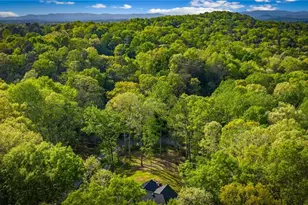 164 Stegall Dr, Ellijay, GA 30536 - Photo 66